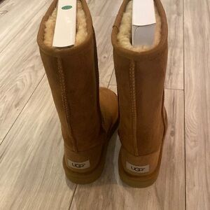 Ugg classic tall boots